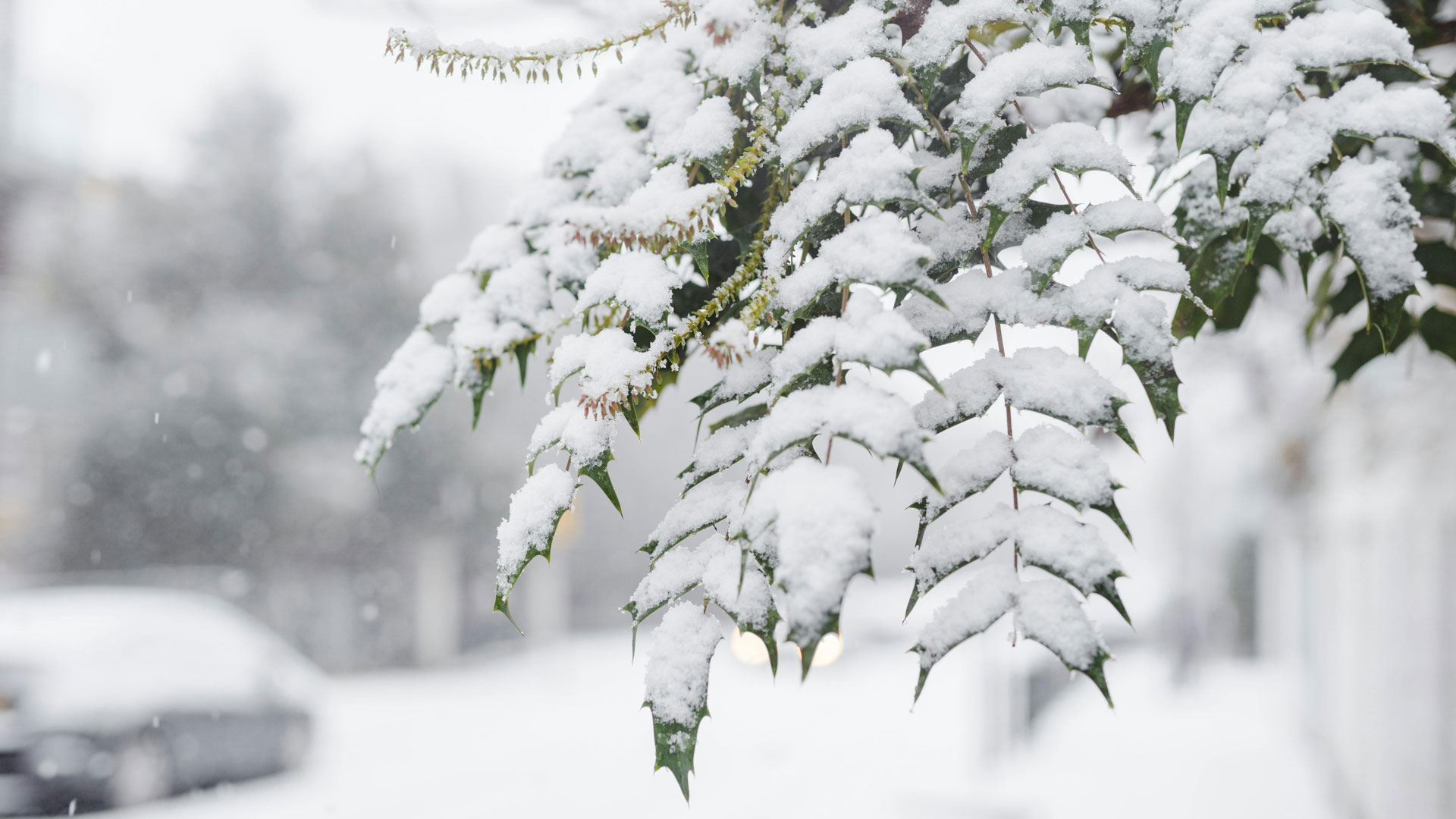Neige : Alerte au département 43, prudence routière